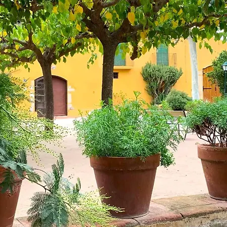 Mansion In Holiday home Riudoms